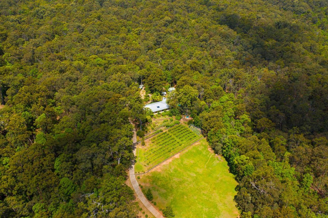 Wallaby Ridge Retreat Mount Tamborine Eksteriør billede